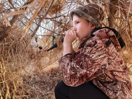 Процесс пошёл