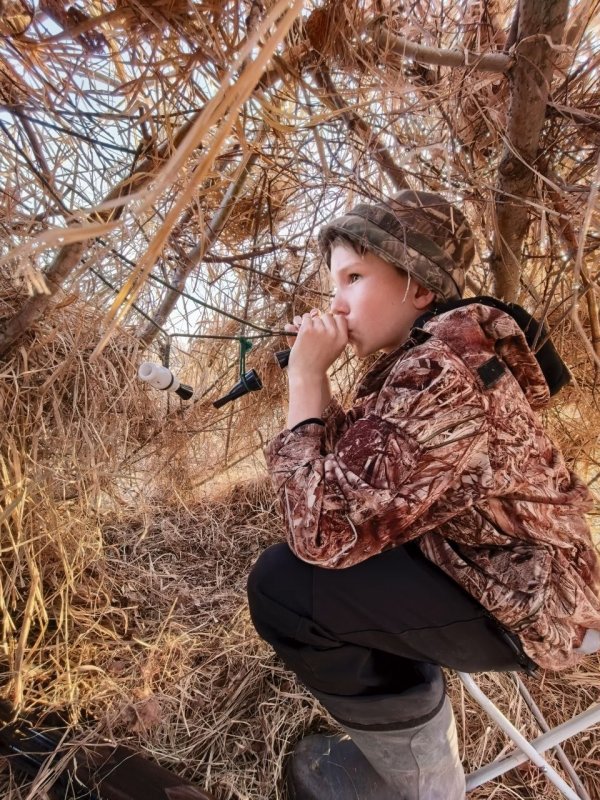 Процесс пошёл