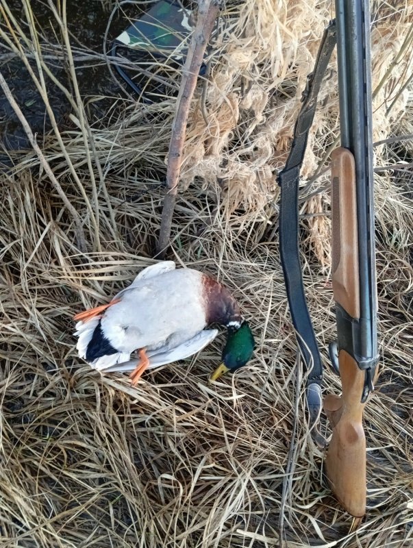 Открытие 2026г (весна).