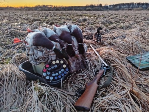 Сегодня была классная вечерка