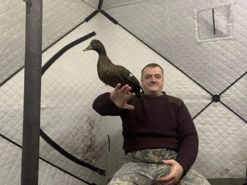 Почти Запашный