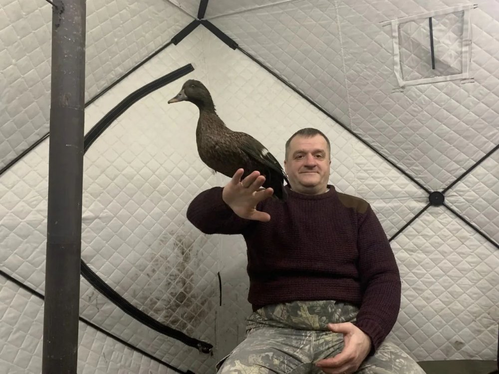 Почти Запашный