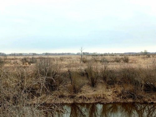 Обстановка в полях, Венгеровский р-он!