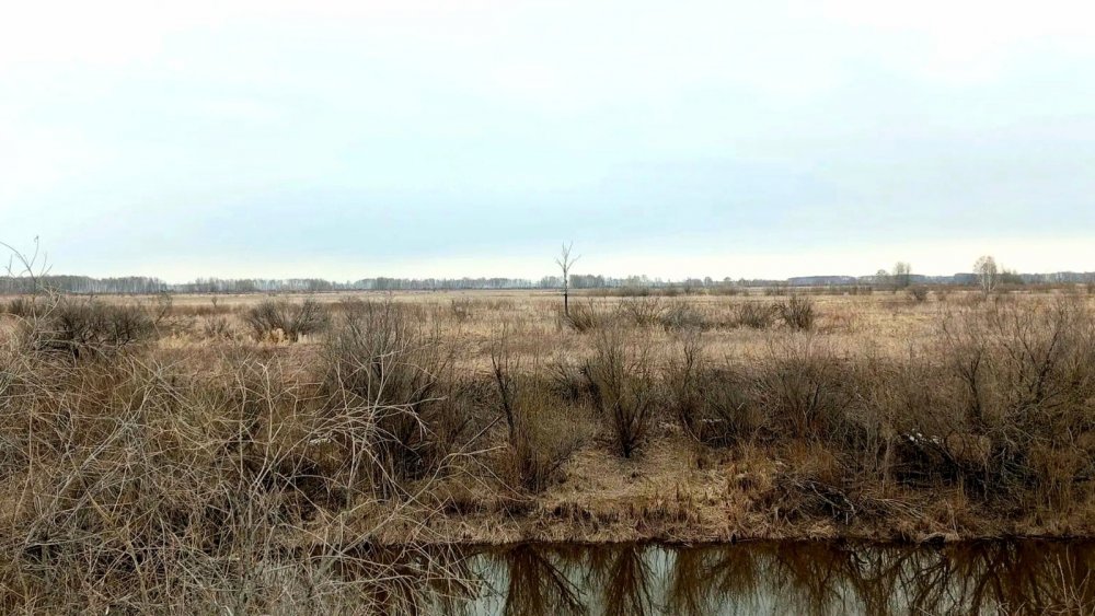 Обстановка в полях, Венгеровский р-он!