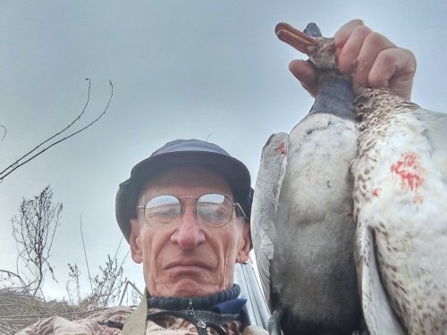 Селезни,-красноголовик , серяк.