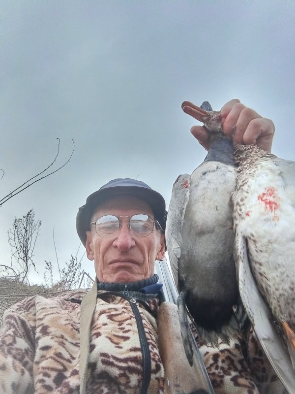 Селезни,-красноголовик , серяк.