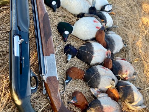 Отличное начало охоты!