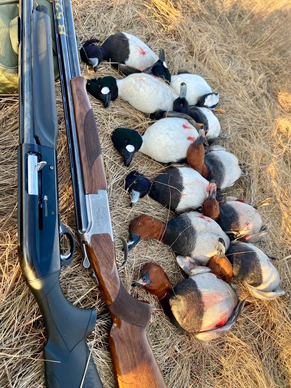 Отличное начало охоты!