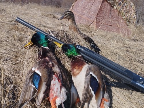 Не сидится нам дома.