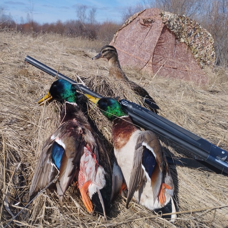 Не сидится нам дома.