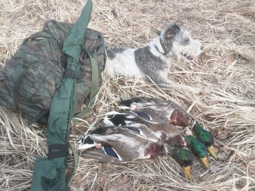 Удачная вечерка