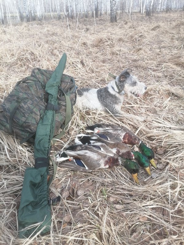 Удачная вечерка