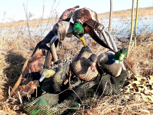 Отличное закрытие!