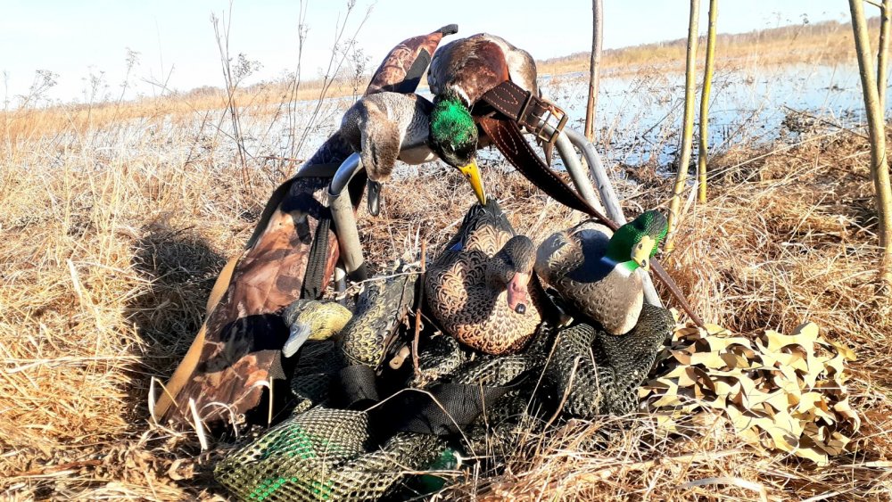 Отличное закрытие!