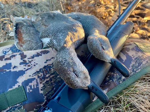 Не зря проснулся раным рано!