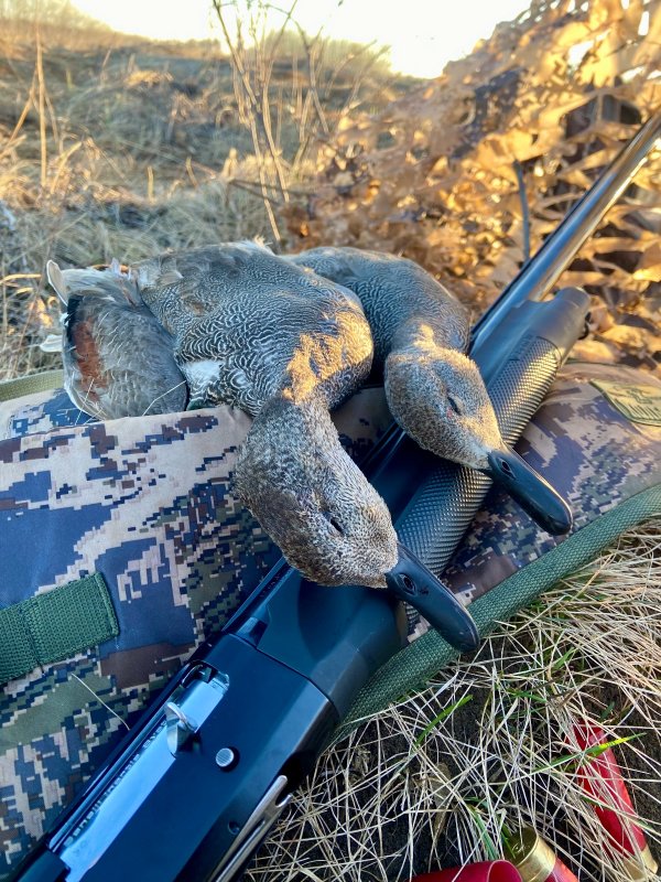 Не зря проснулся раным рано!