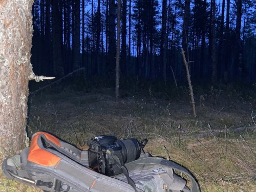 и снова родной ток..