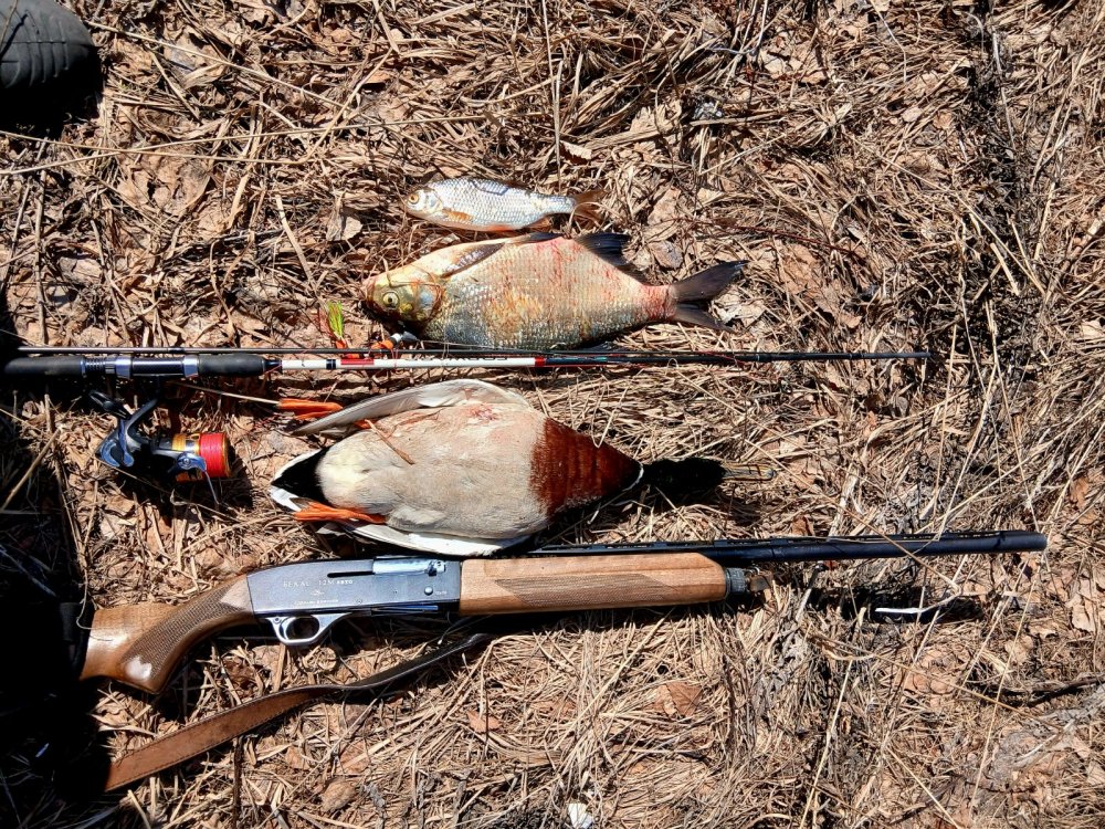 Открыл сезон жидкой воды)