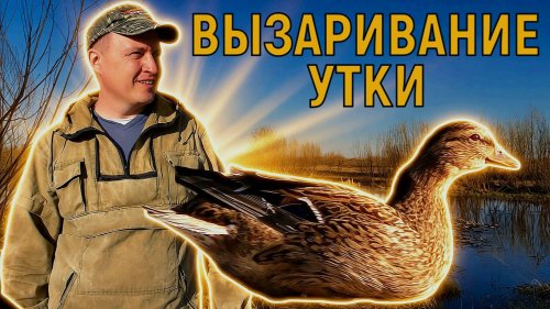 Подготовка скрадка и вызаривание уток