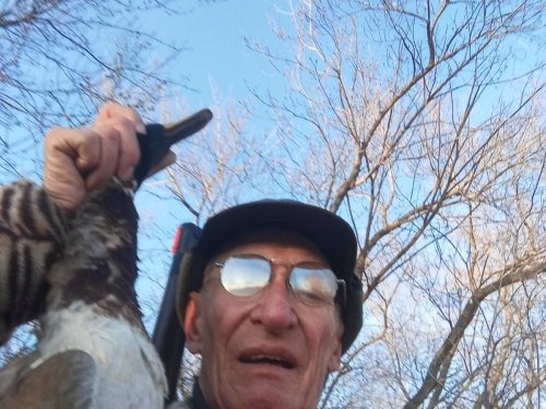 Первый селезень.