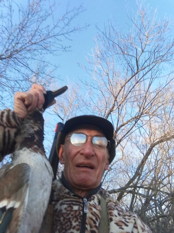 Первый селезень.