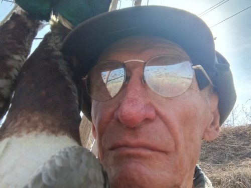 Парочка крякашей.