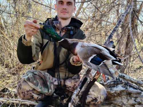 Открылся 18.04.2026