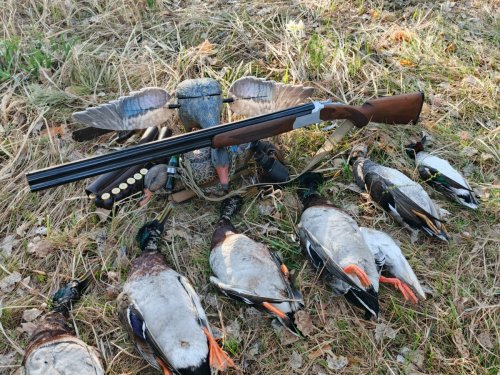 Это была славная охота!