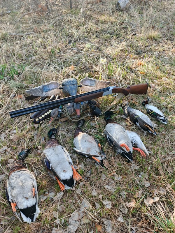 Это была славная охота!