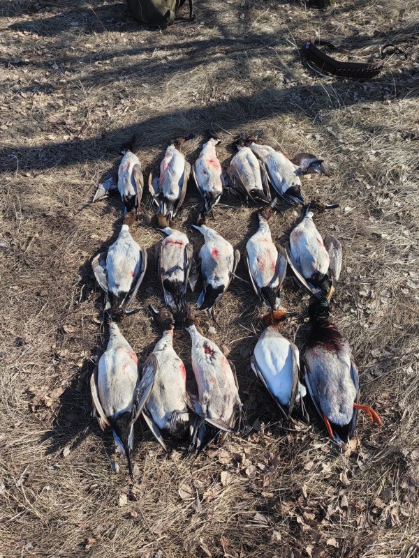 Поздоровался с шилой)))