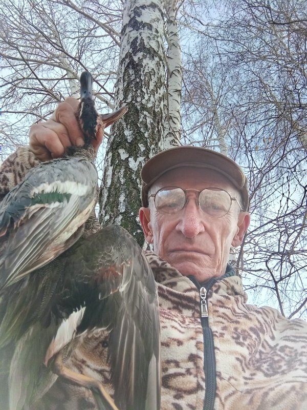 Селезни,-серый, чирок.