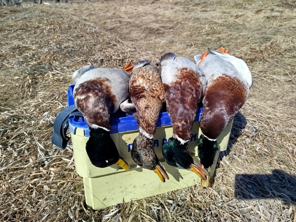 Вчера на утрянке