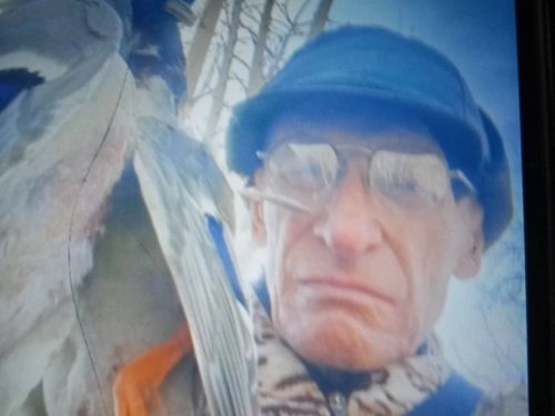 Селезни кряковые.