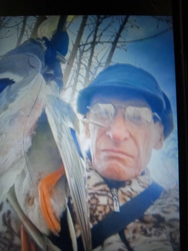 Селезни кряковые.