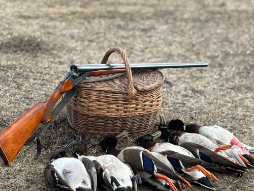 НСО, Коченевский район