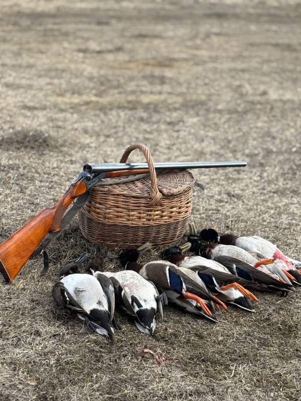 НСО, Коченевский район