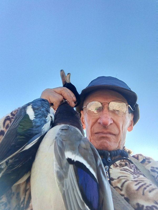 Крякаш, соксун.