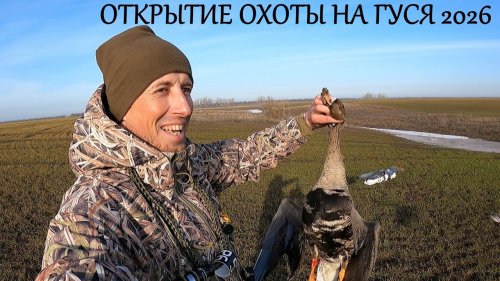 ПОПАЛИ НА ПРОЛЁТ!!! ОТКРЫТИЕ ОХОТЫ НА ГУСЯ 2026 / MAX HUNTER