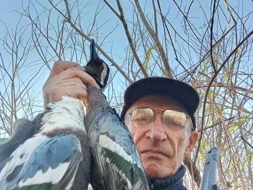 Соксун, чирок трескунок.