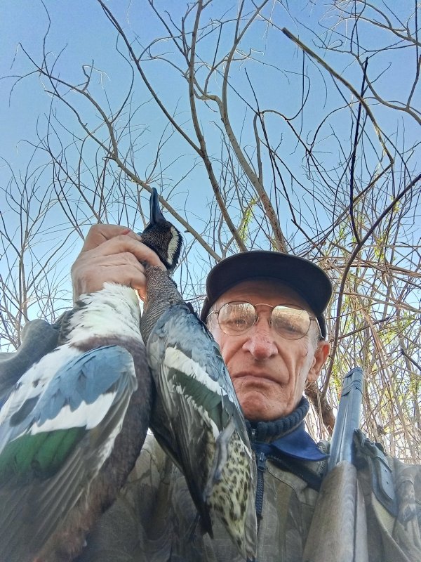 Соксун, чирок трескунок.