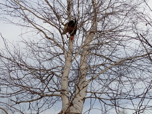 Аварийная посадка.