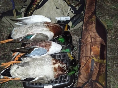 Сезон продолжается....