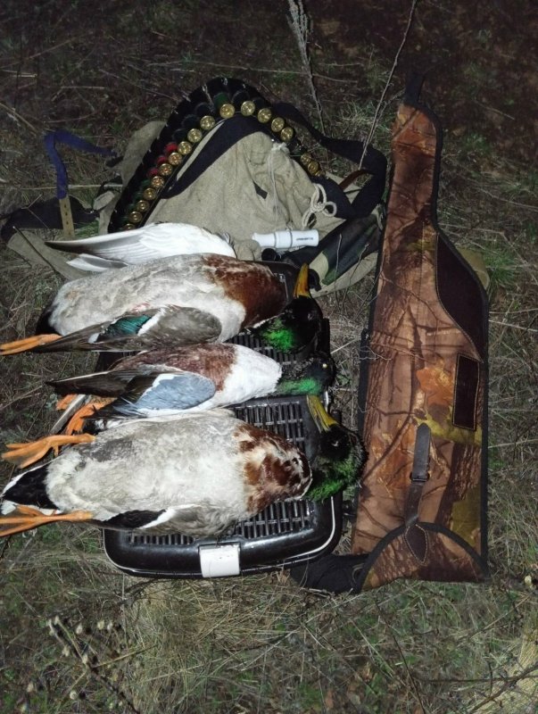 Сезон продолжается....