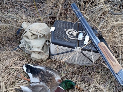 Начало вечерки с подсадной.