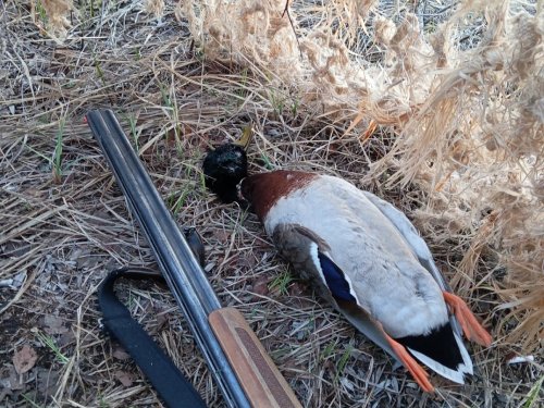 С подсадной.