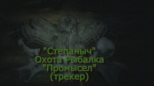 СТЕПАНЫЧ Охота Рыбалка (Трейлер) "Промысел".