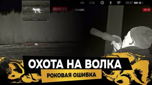 ИЗ-ЗА ОШИБКИ ПОТЕРЯЛ ВОЛКА (но приобрёл опыт). Неудачный выстрел, охота на волка с вышки