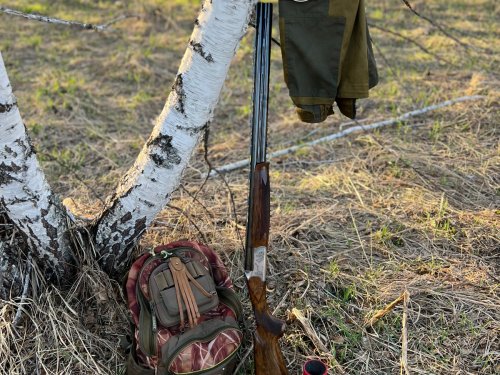 В ожидании тяги