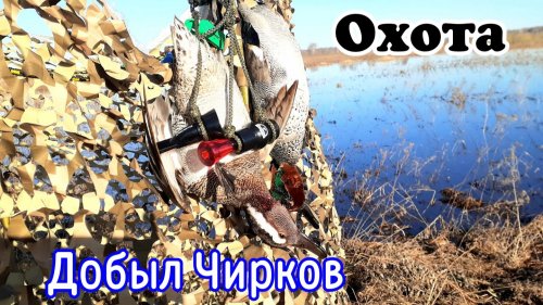 Добыл жирных чирков | Как я много мазал | Утро на охоте