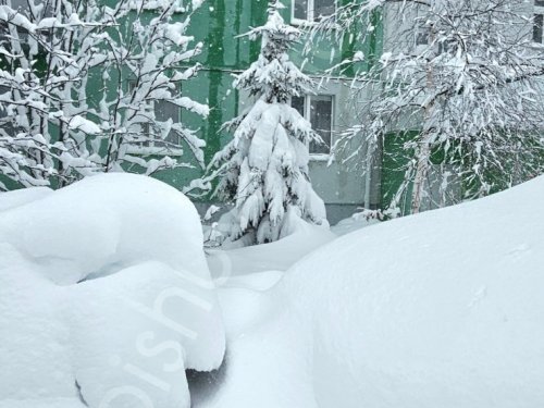 Валенки летом - это нормально